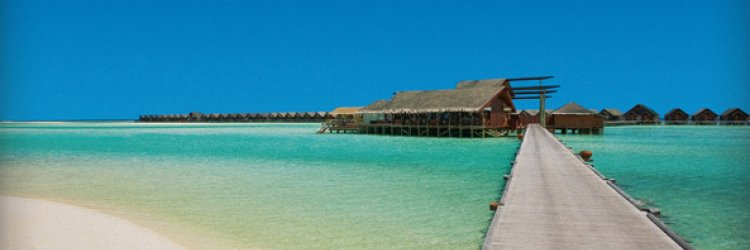 Book Stunning Holidays to South Ari Atoll Maldives With True Experts!
