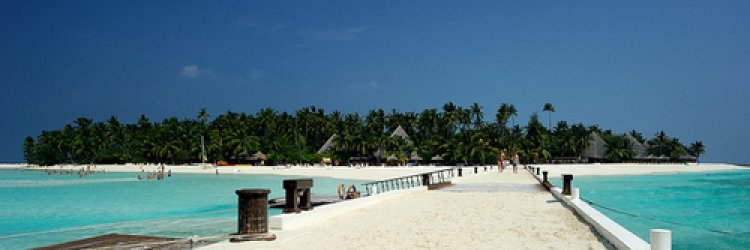 Book Alimatha Island With True Experts!