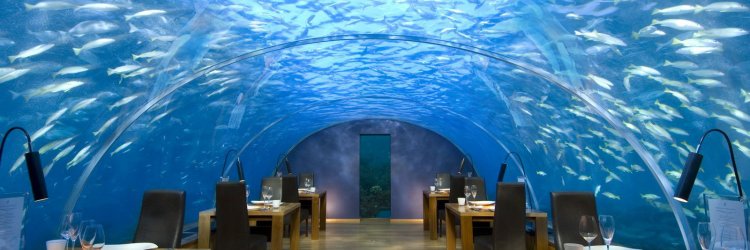 Book Underwater Restaurants With True Experts!